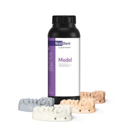 NextDent Model 1 kg white