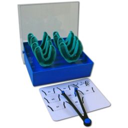 Border-Lock modelable kit intro denté inférieur (8) 