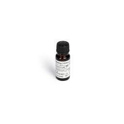 Universeel adhesief 10 ml 